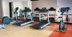 Fully Furnished 1 BHK Apartment in Porto Arabia