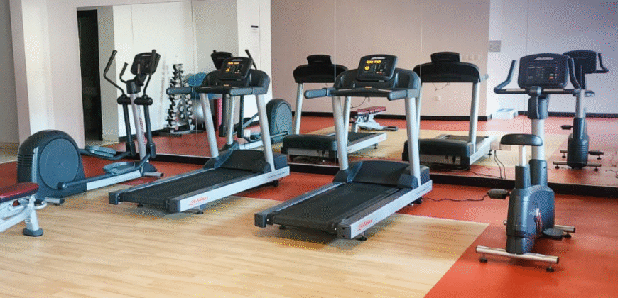 Fully Furnished 1 BHK Apartment in Porto Arabia