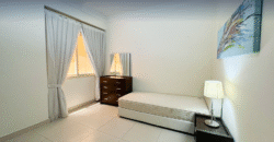 Fully Furnished 3 Bedroom Apartment in Al Sadd