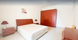 Fully Furnished 3 Bedroom Apartment in Al Sadd
