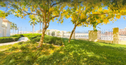 Land For Sale | Residencial or Commercial | Pearl